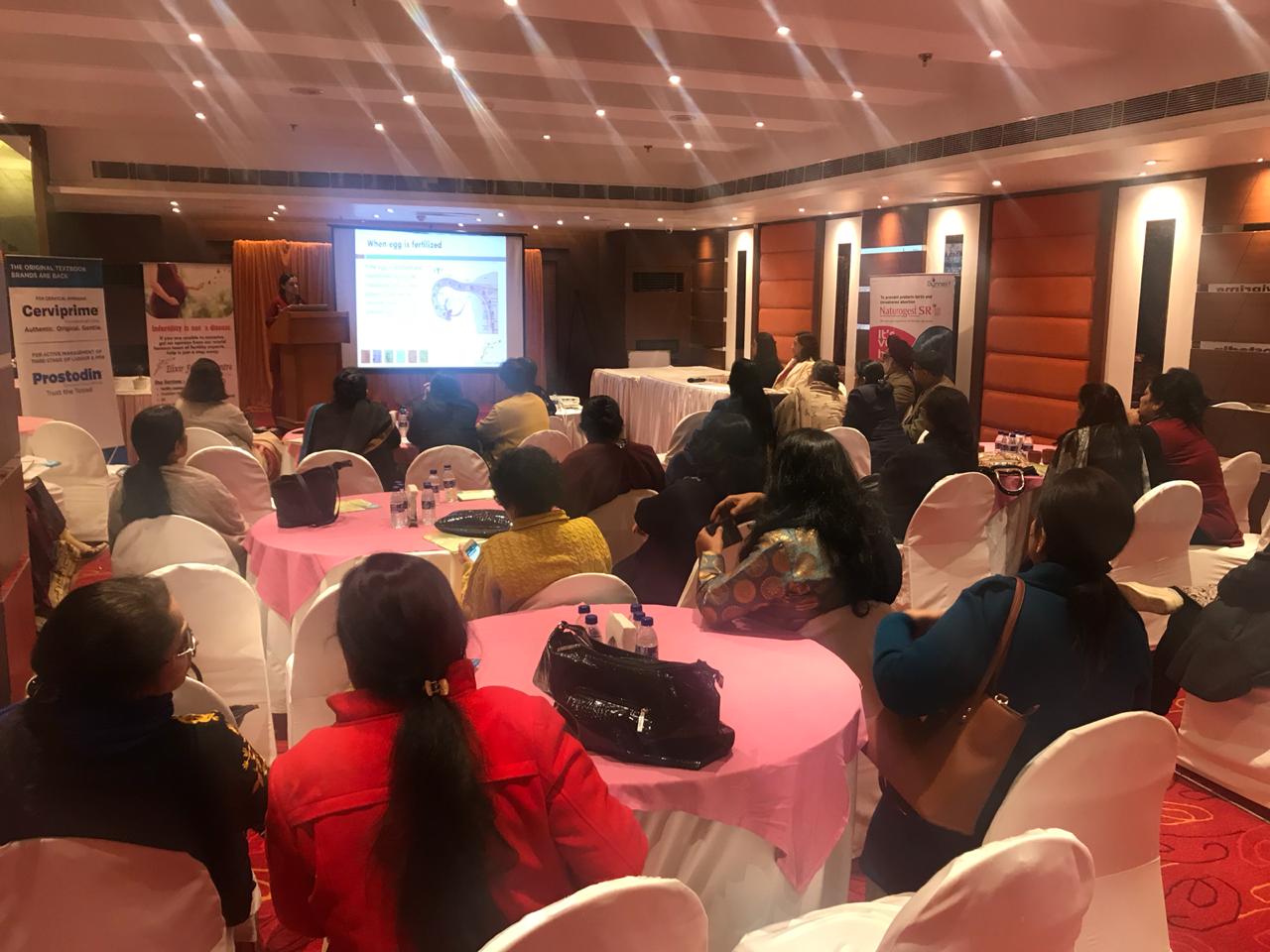 Exploring progesterone in infertility and pregnancy