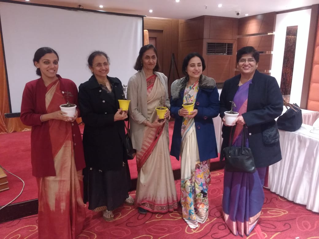 Exploring progesterone in infertility and pregnancy14